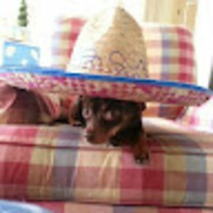 Meet your Posher, Judy